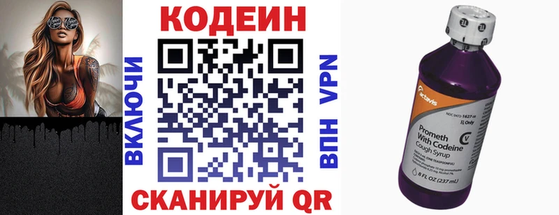 Купить закладки  Вилючинск  Codein напиток Lean (лин) 