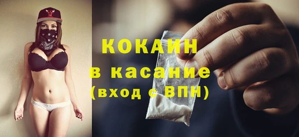 твердый Инсар