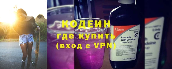 твердый Инсар