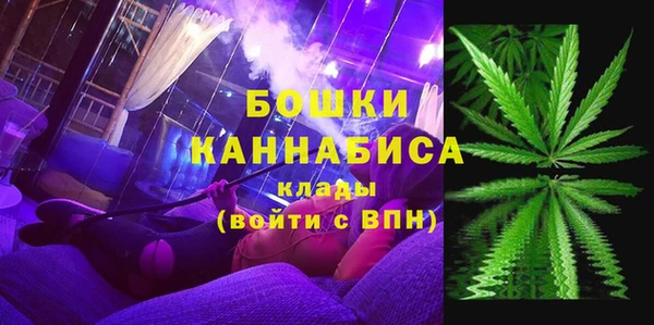 твердый Инсар