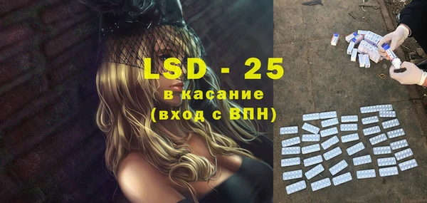 твердый Инсар