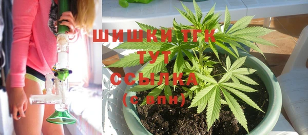 твердый Инсар