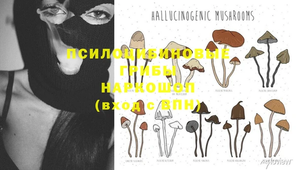 твердый Инсар