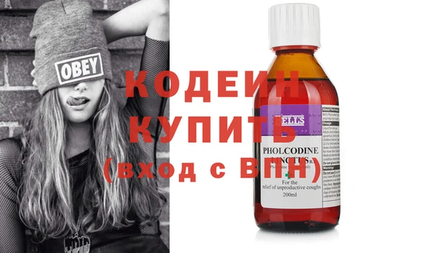 твердый Инсар
