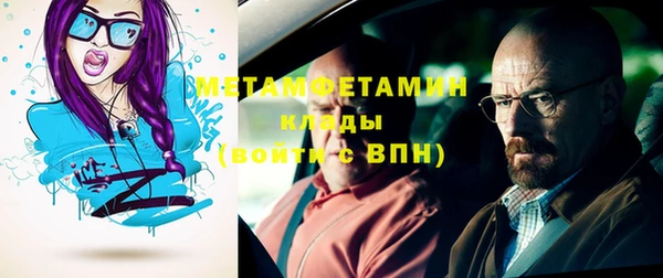 твердый Инсар