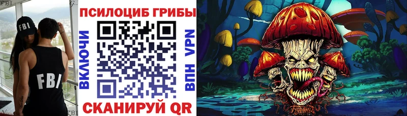 Купить  Вилючинск  Псилоцибиновые грибы MAGIC MUSHROOMS 
